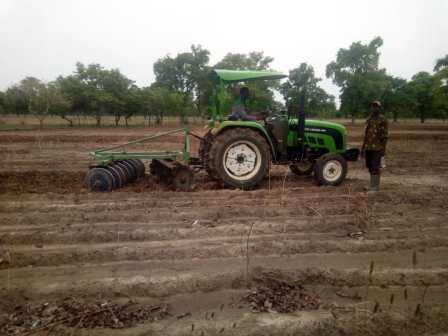 Premiers travaux dans les parcelles  06/2019